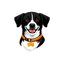 FourCast mascot